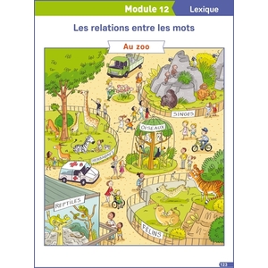 FRANCAIS EXPLICITE CE1 - POSTERS - ED. 2019