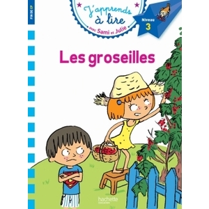 SAMI ET JULIE CP NIVEAU 3 LES GROSEILLES