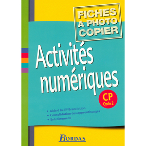 ACTIVITES NUMERIQUES CP 2004 FICHES A PHOTOCOPIER