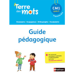 TERRE DES MOTS - GUIDE PEDAGOGIQUE + CD - CM1