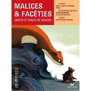 FACETTES BIBLIOTHEQUE CM2 - MALICES ET FACETIES - RECUEIL