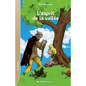 L'ESPRIT DE LA VALLEE - LOT DE 5 ROMANS