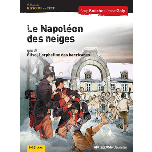 NAPOLEON DES NEIGES - ROMAN