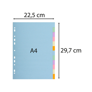 INTERCALAIRES A4 CARTE FORTE 12 POSITIONS COLORIS PASTELS