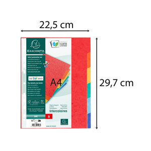 INTERCALAIRES A4 CARTE LUSTRÉE 6 POSITIONS