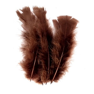 PLUMES NOIRES 25G