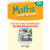 MATHS TOUT TERRAIN CE1 2020 FICHIER PHOTOCOPIABLE DE DIFFERENCIATION