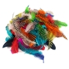 PLUMES FAISAN COLORIS ASSORTIS 10G