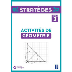 ACTIVITES DE GEOMETRIE NIVEAU 3 + CD ROM