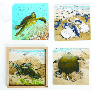 PUZZLE LA VIE DE LA TORTUE